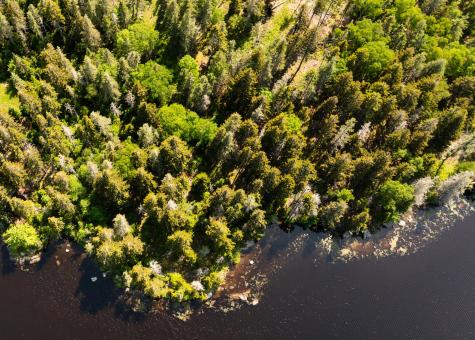 0a Old Harbor Road Vinalhaven ME 04863