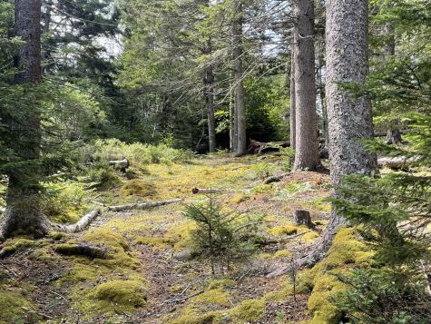 0a Old Harbor Road Vinalhaven ME 04863