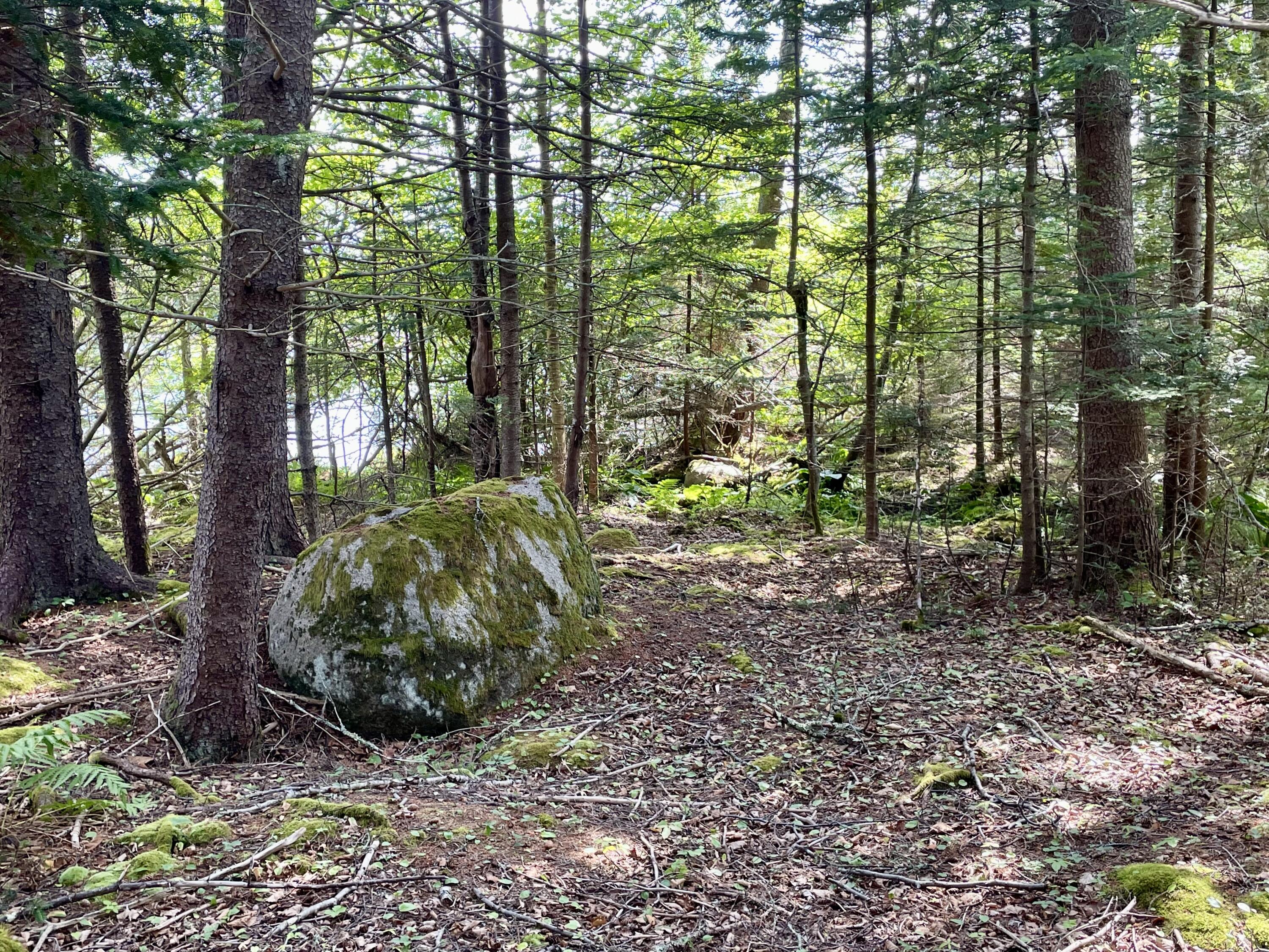 0a Old Harbor Road Vinalhaven ME 04863