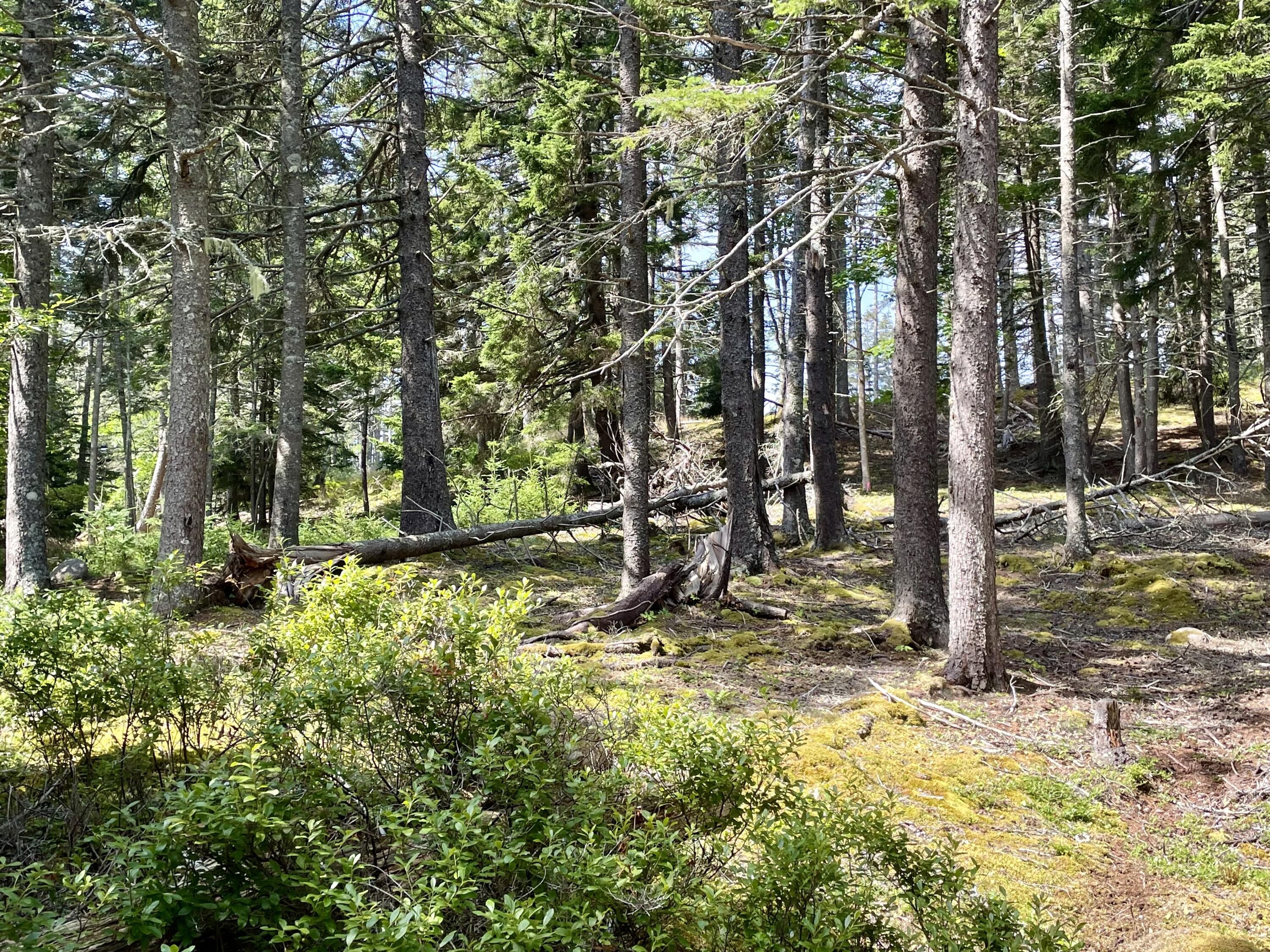 0a Old Harbor Road Vinalhaven ME 04863