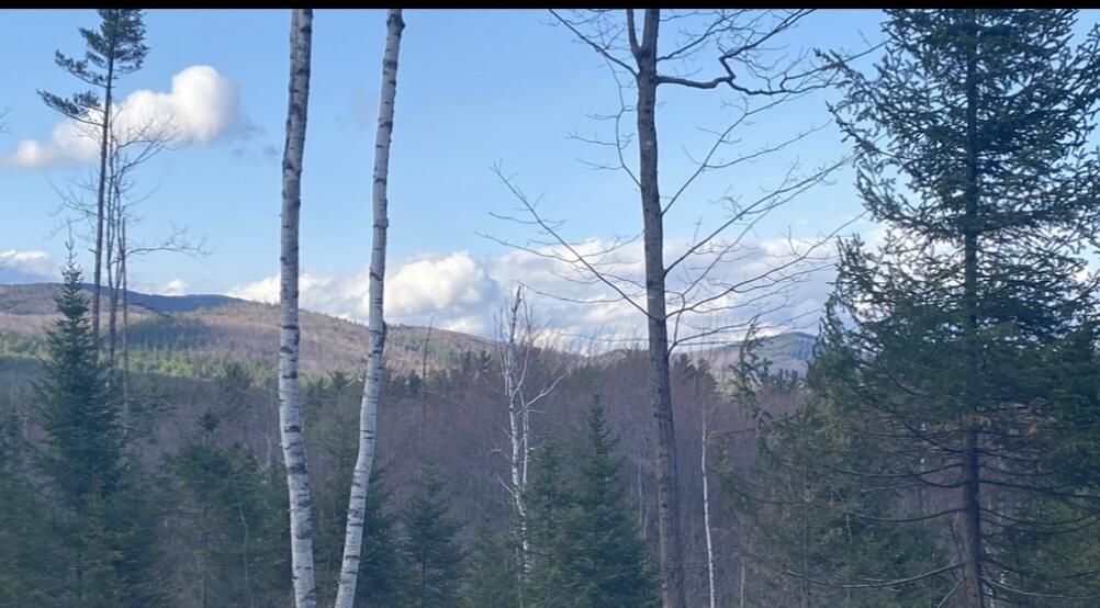 Lot 1 Fleming Road Bethel ME 04217