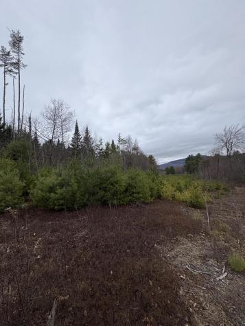 Lot 1 Fleming Road Bethel ME 04217