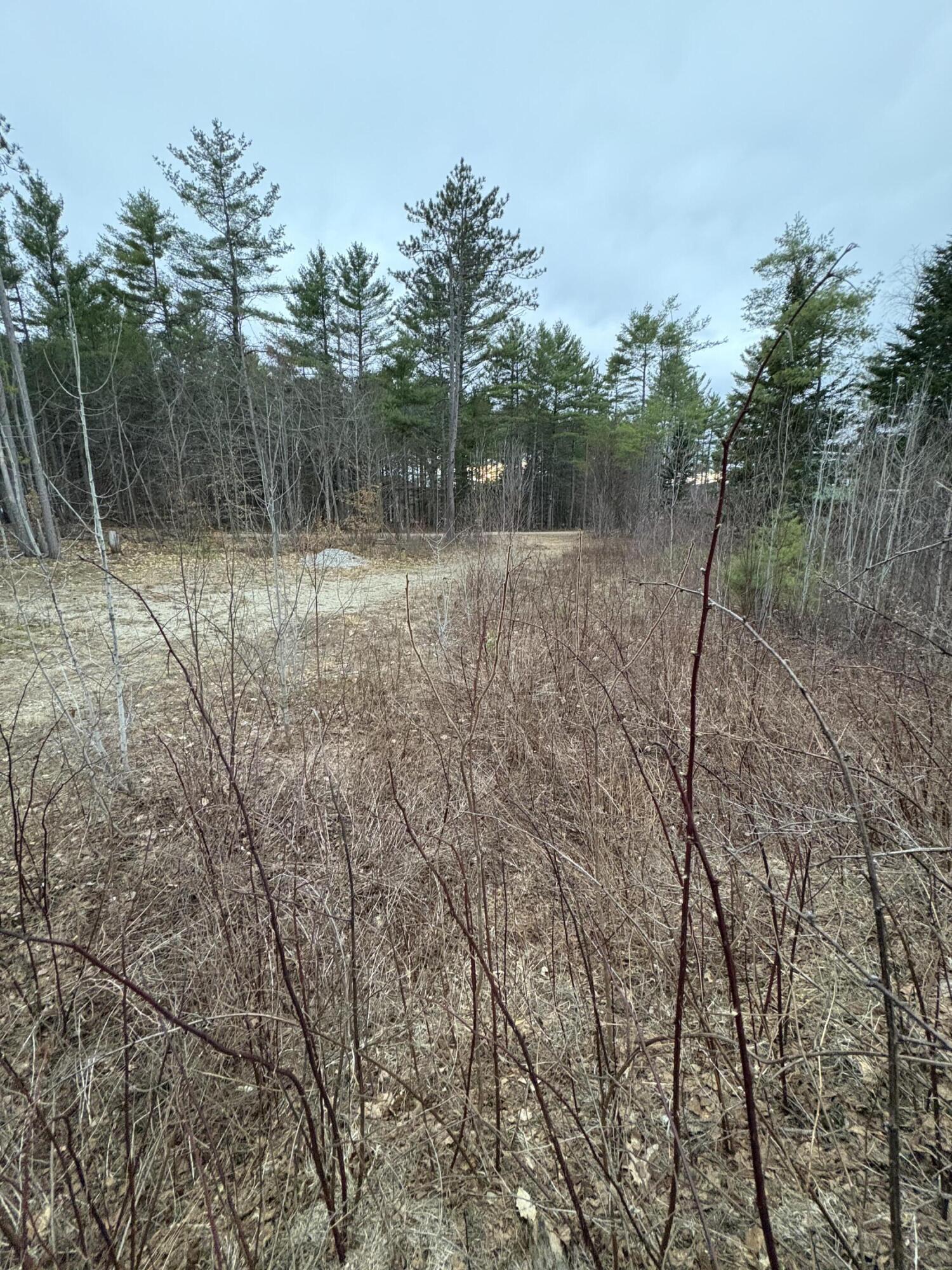 Lot 1 Fleming Road Bethel ME 04217