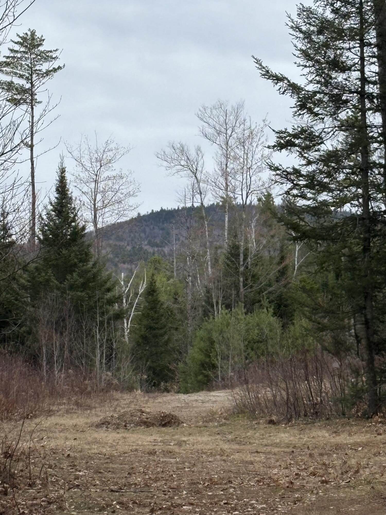 Lot 1 Fleming Road Bethel ME 04217