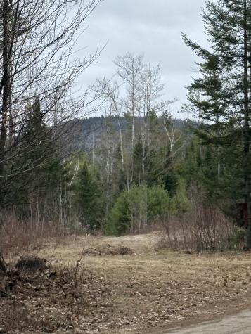 Lot 1 Fleming Road Bethel ME 04217