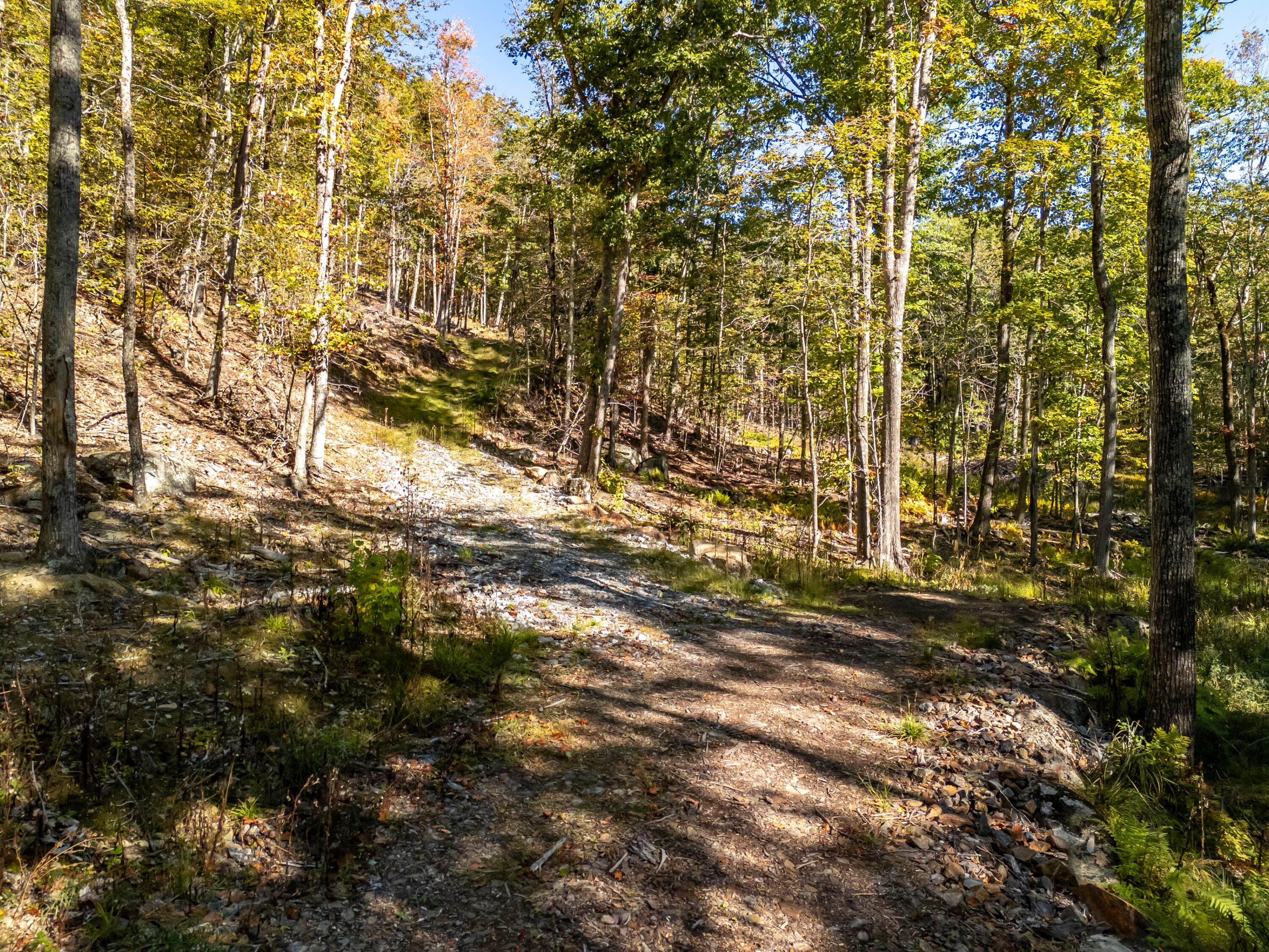 2 Bald Mountain Road Camden ME 04843