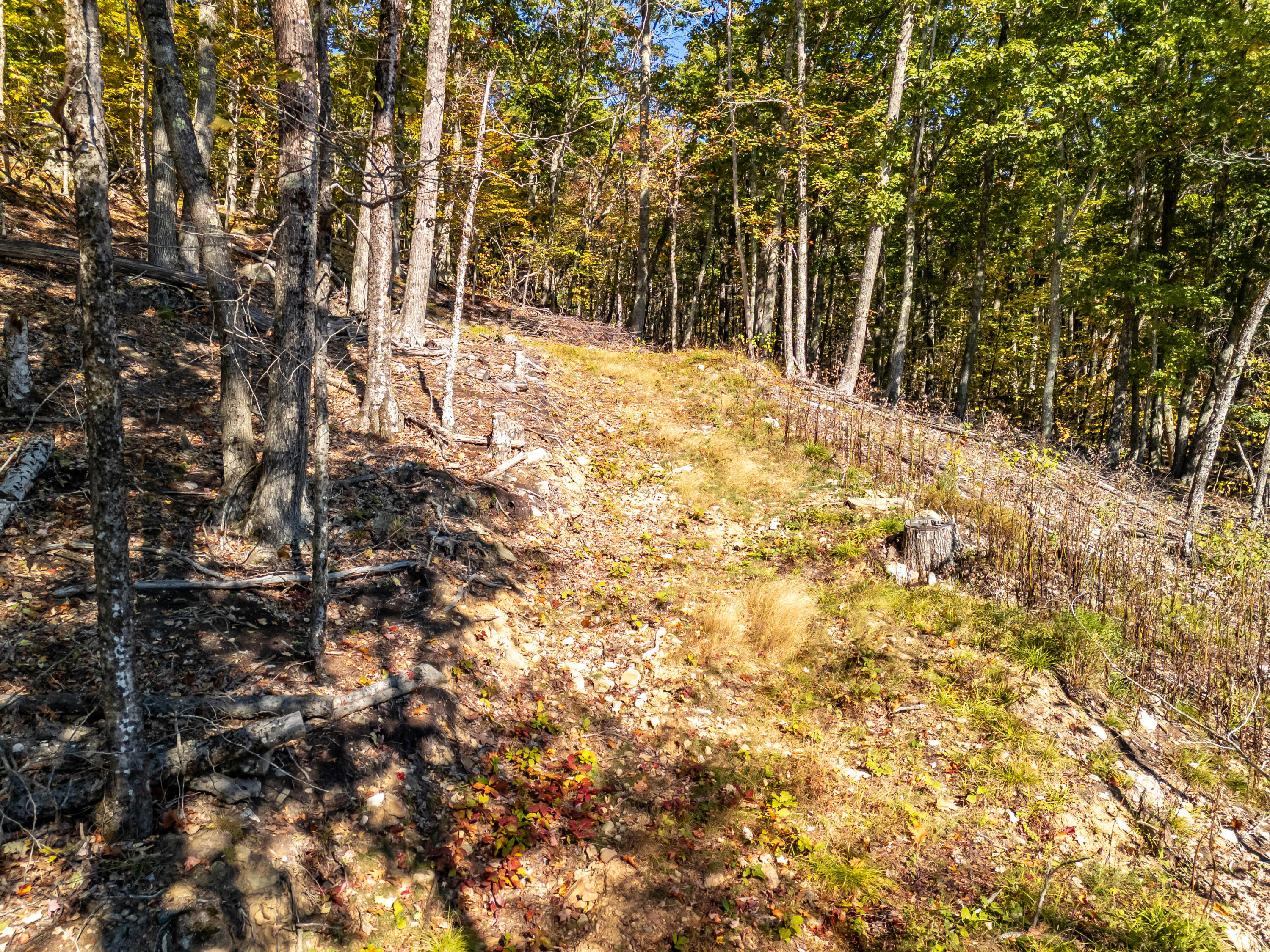 2 Bald Mountain Road Camden ME 04843