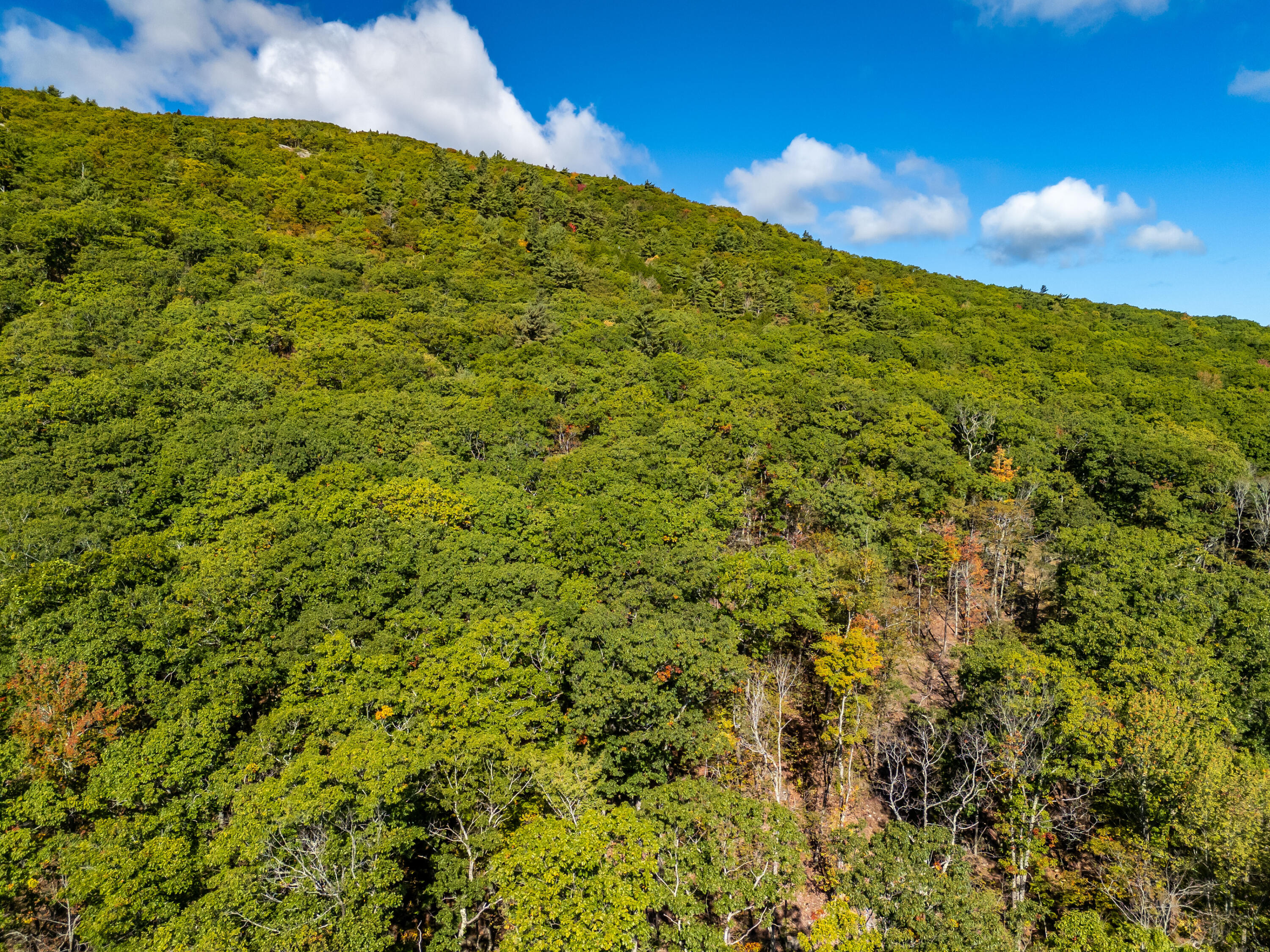 2 Bald Mountain Road Camden ME 04843
