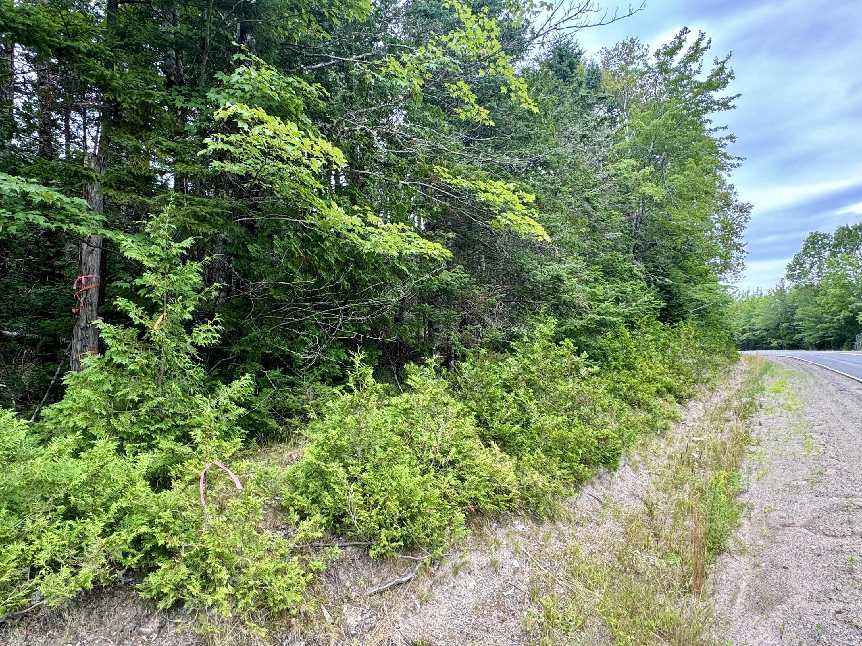 M12 L8 Ayers Junction Road Pembroke ME 04667