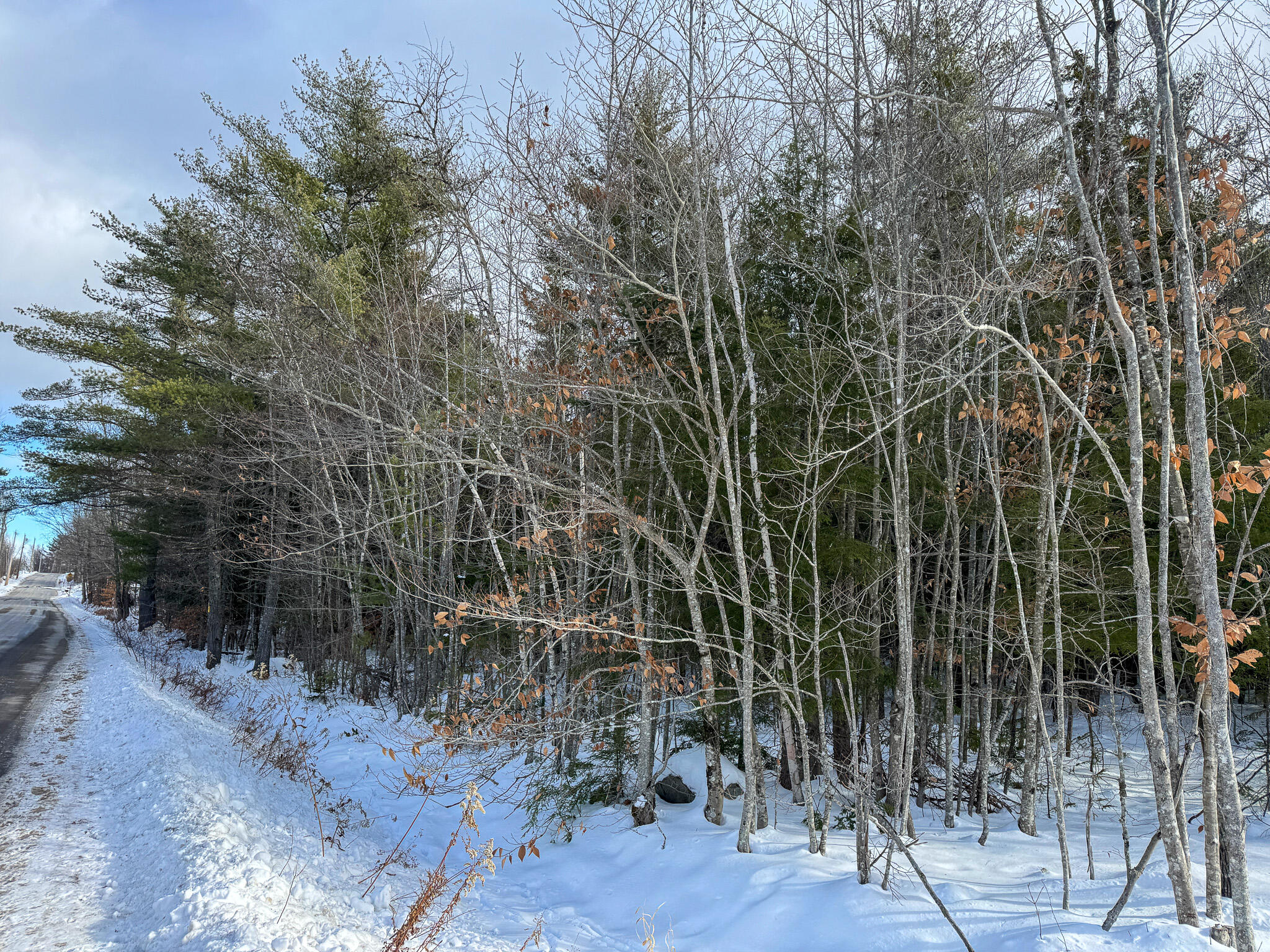 100 Sam Brown Hill Road Brownfield ME 04010