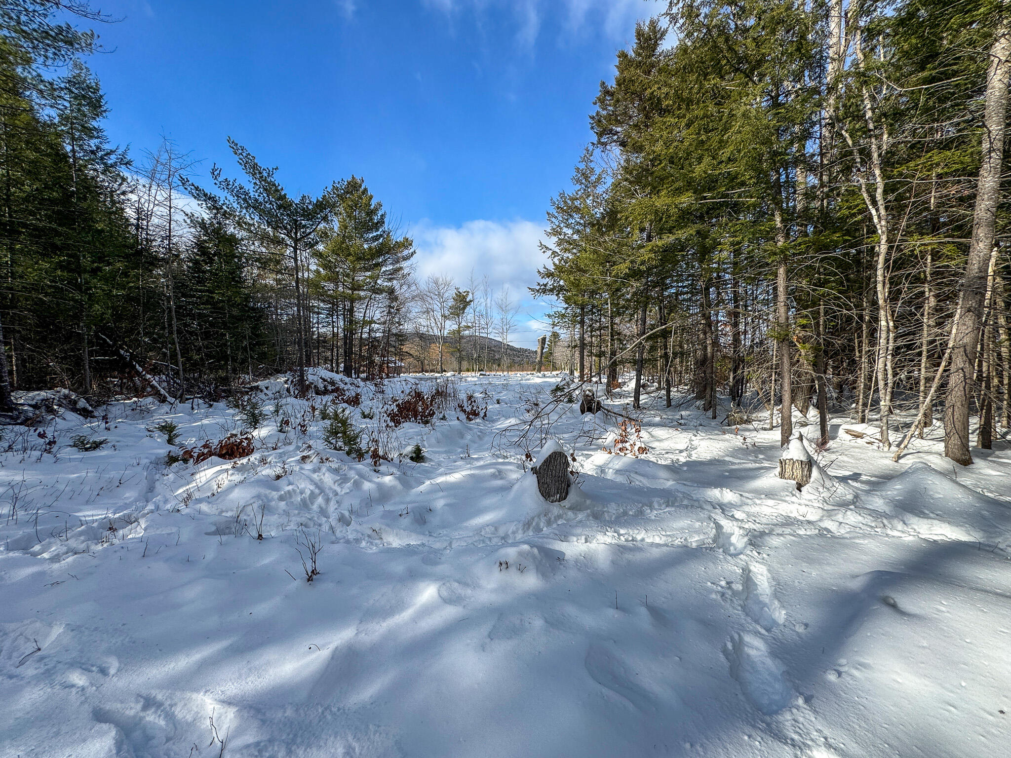 100 Sam Brown Hill Road Brownfield ME 04010
