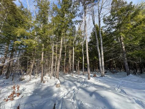 100 Sam Brown Hill Road Brownfield ME 04010