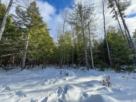100 Sam Brown Hill Road Brownfield ME 04010