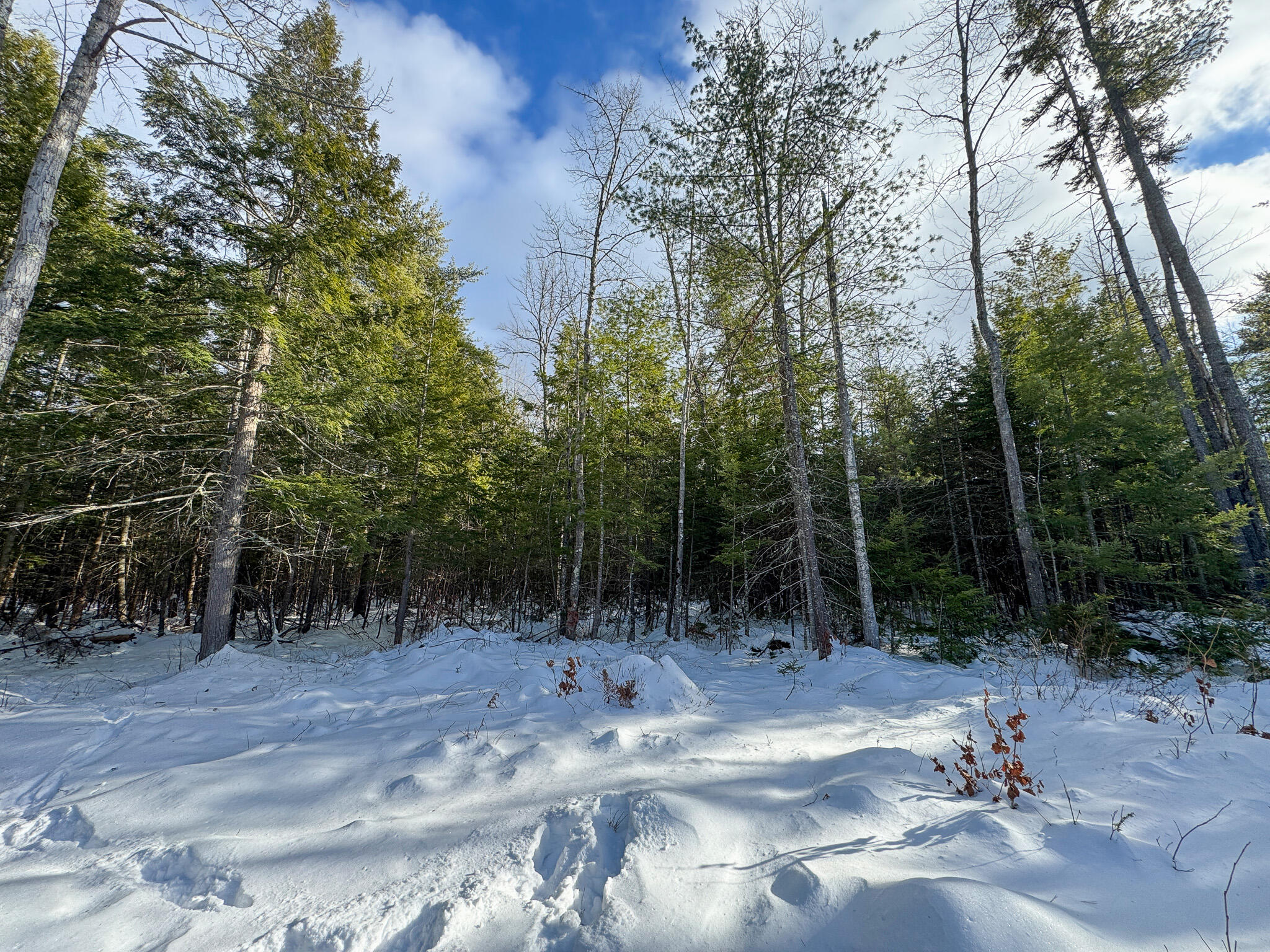 100 Sam Brown Hill Road Brownfield ME 04010