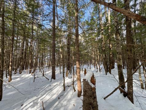 100 Sam Brown Hill Road Brownfield ME 04010