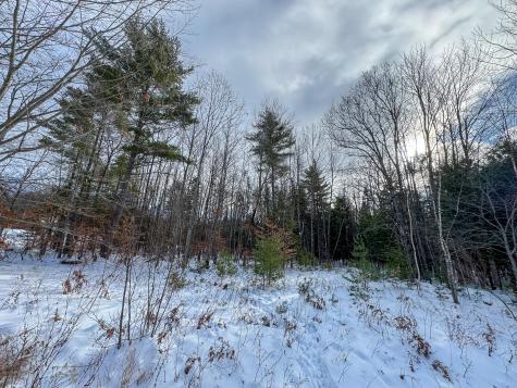 100 Sam Brown Hill Road Brownfield ME 04010