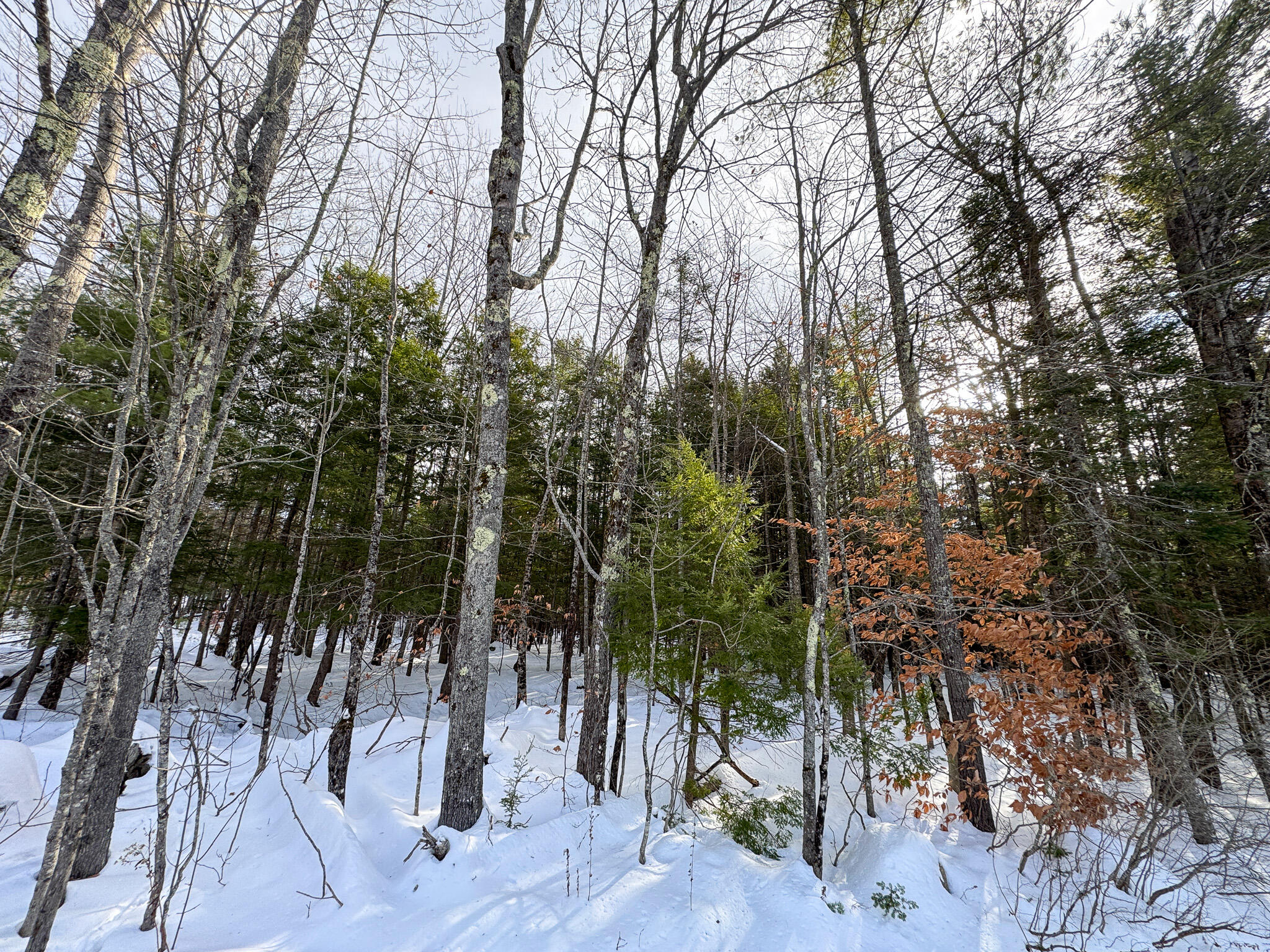 100 Sam Brown Hill Road Brownfield ME 04010