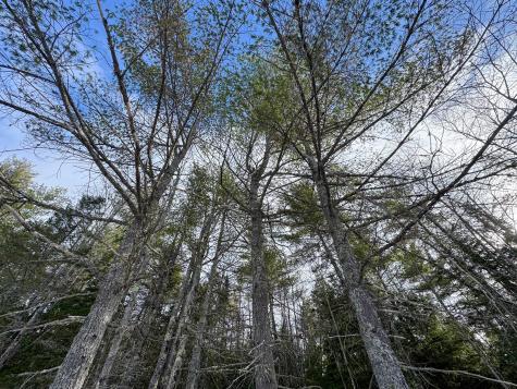 100 Sam Brown Hill Road Brownfield ME 04010