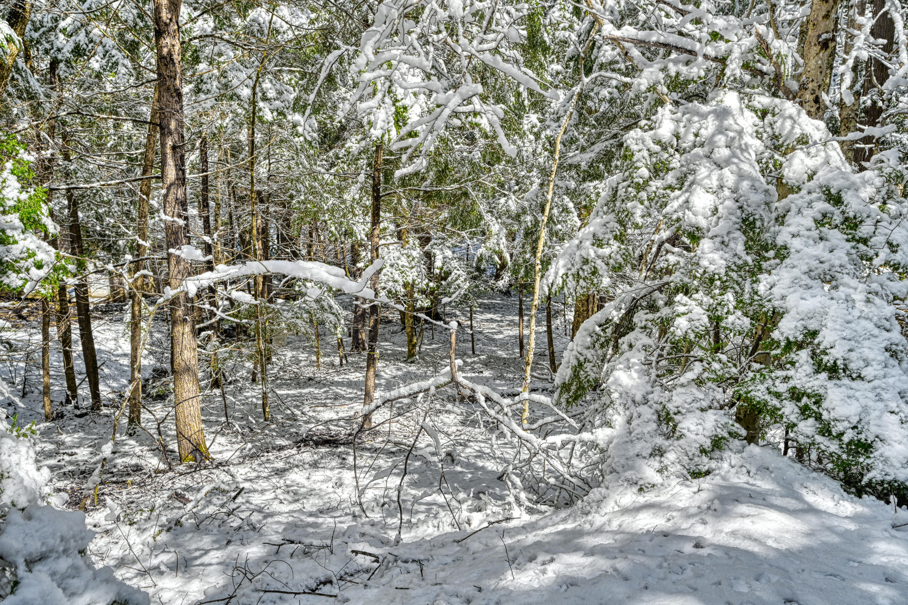 Lot 9 & 15 South Union Route Union ME 04862