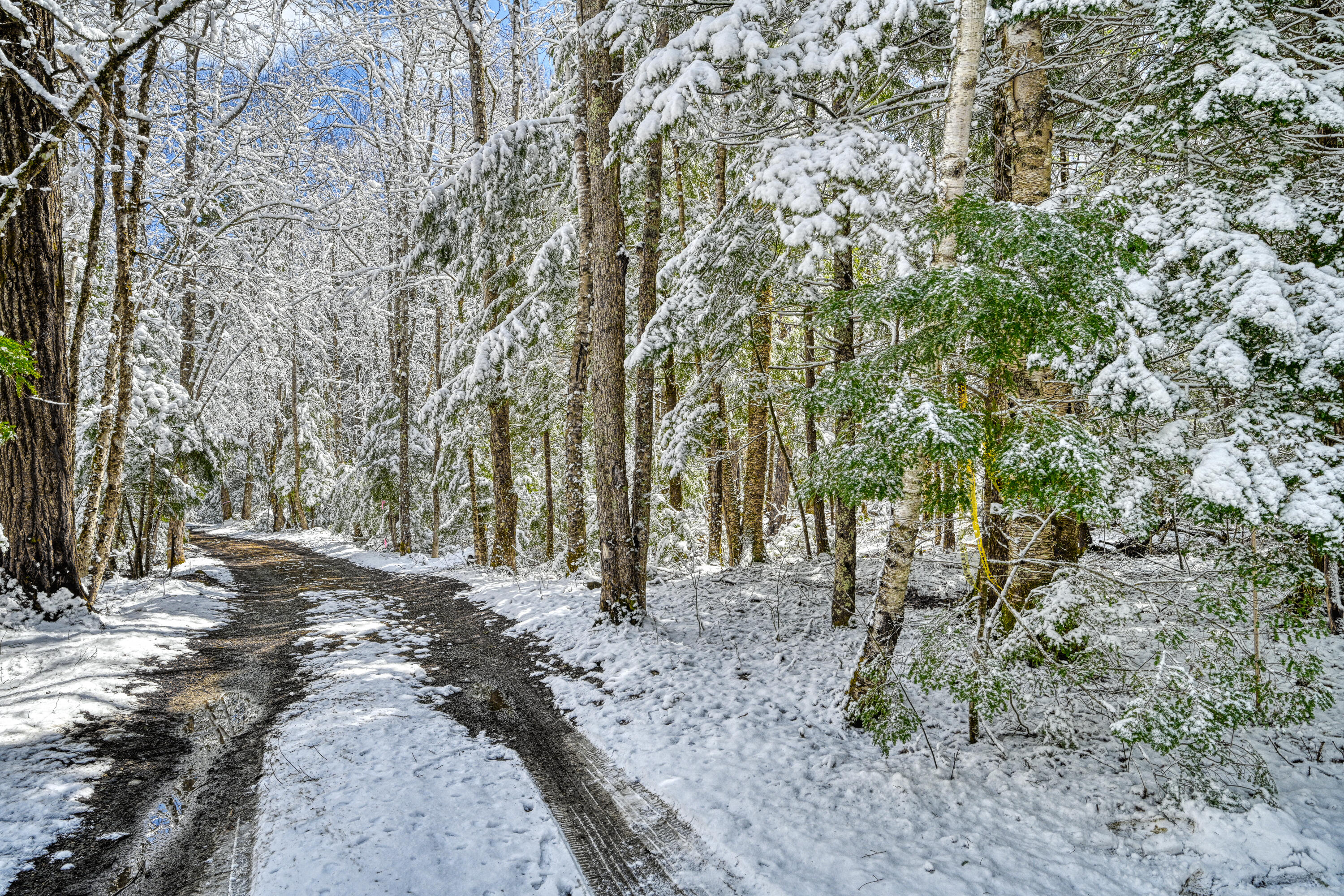 Lot 9 & 15 South Union Route Union ME 04862