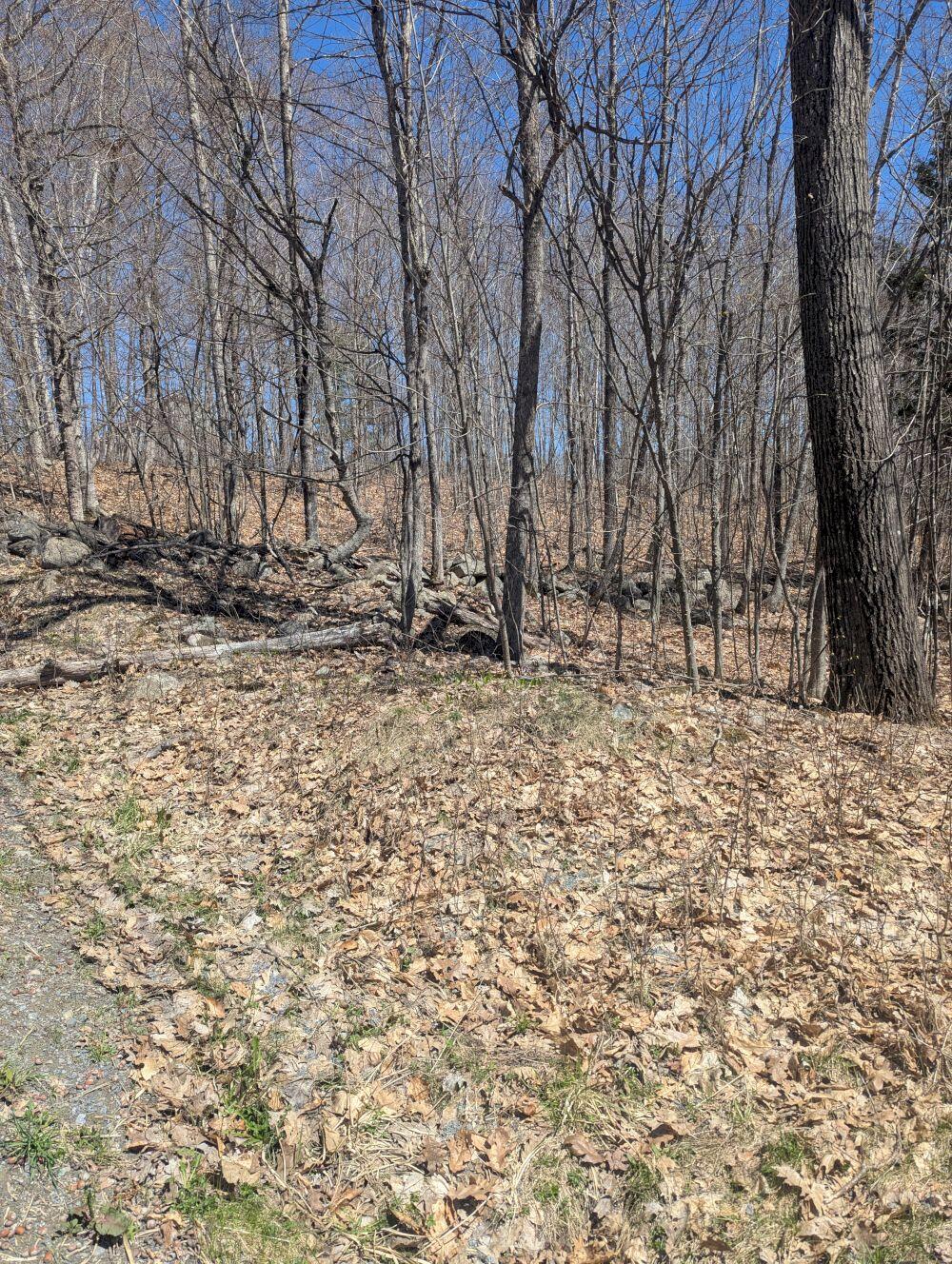 M9 L7 Finson Road Saint Albans ME 04971