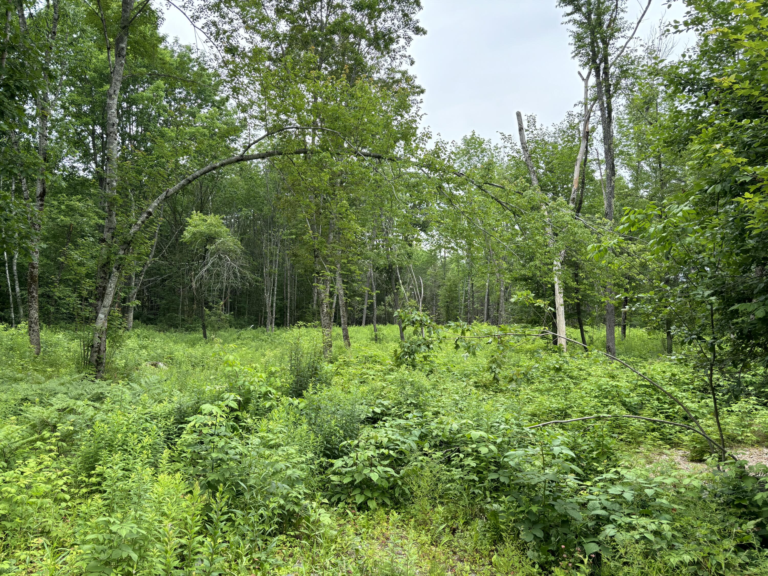 96 West Washington Road Washington ME 04574