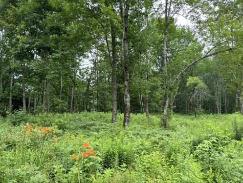 96 West Washington Road Washington ME 04574