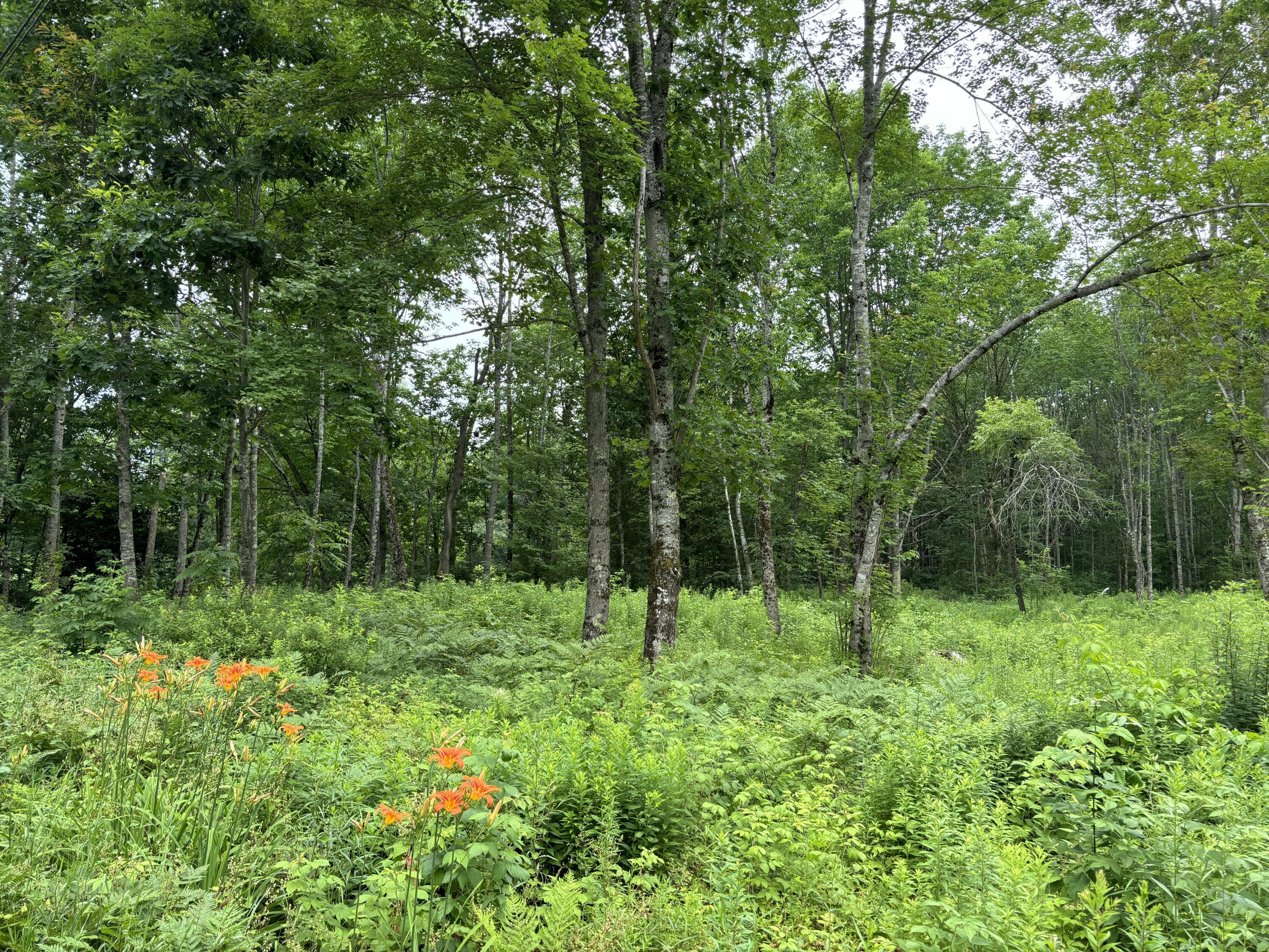 96 West Washington Road Washington ME 04574