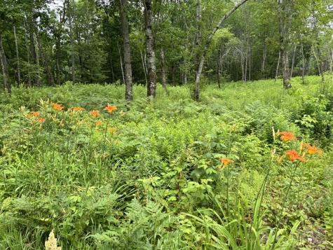 96 West Washington Road Washington ME 04574