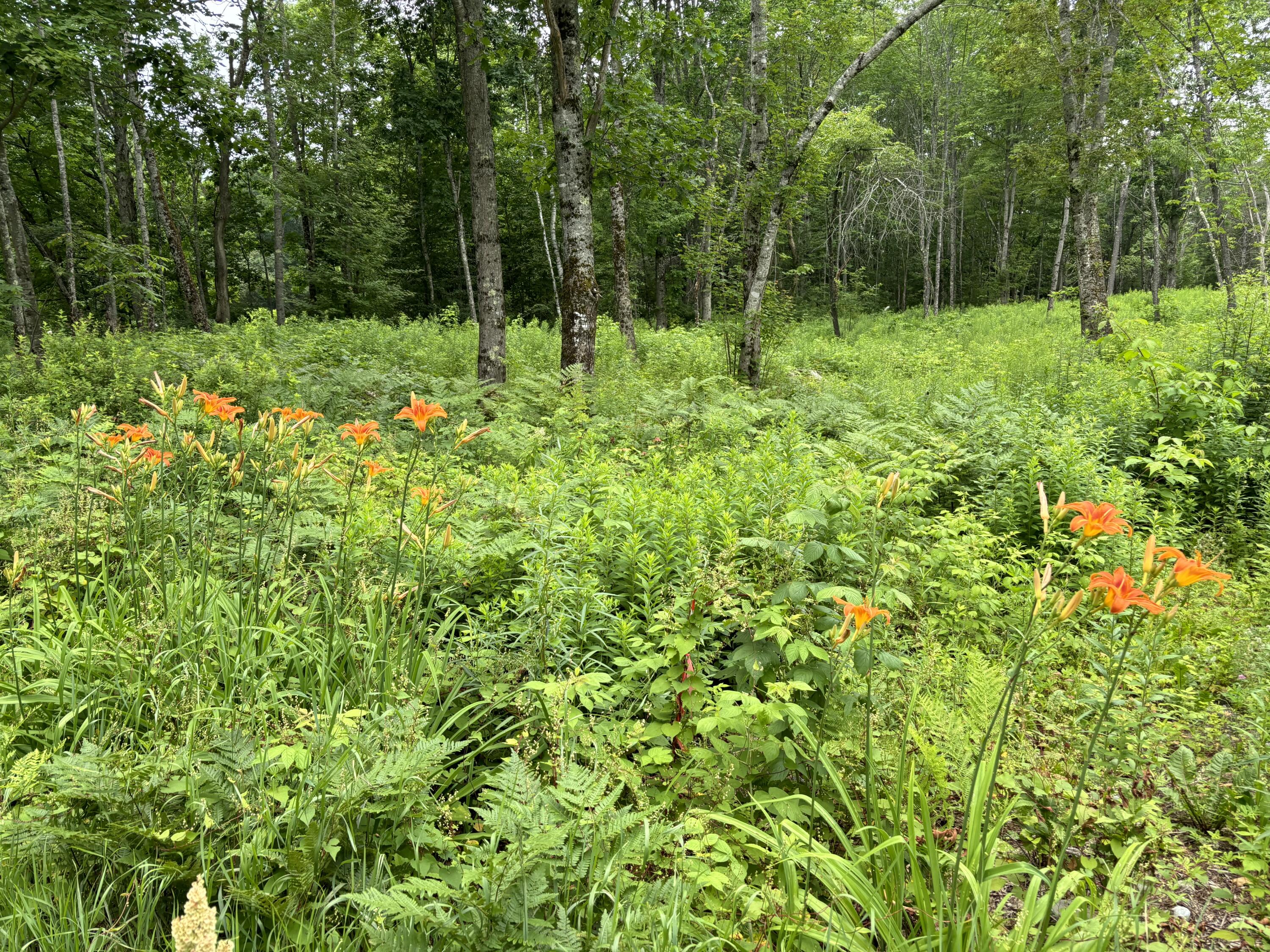 96 West Washington Road Washington ME 04574