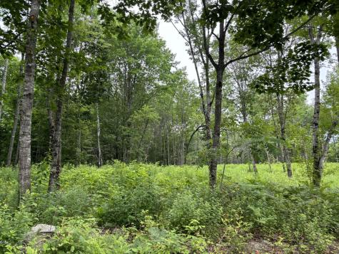 96 West Washington Road Washington ME 04574