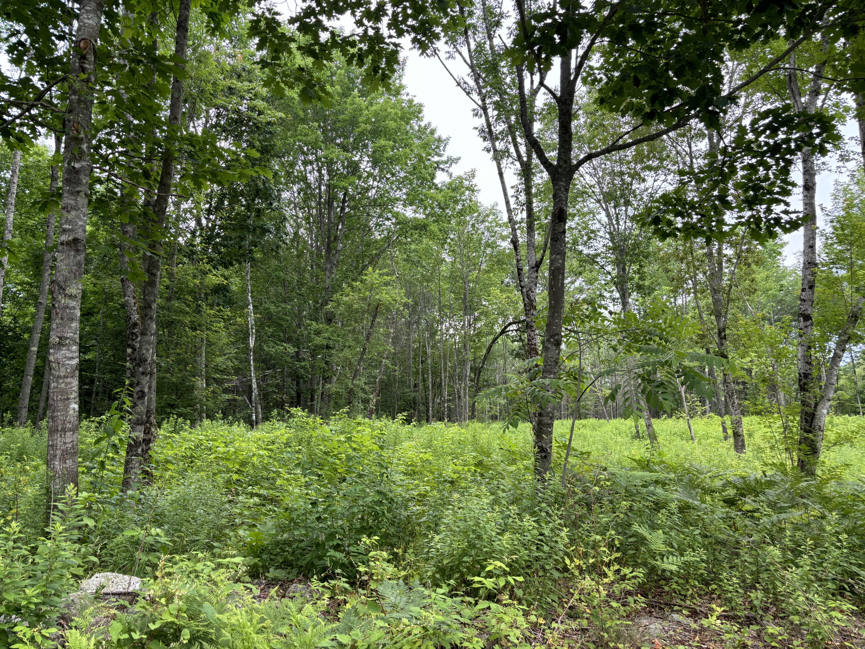 96 West Washington Road Washington ME 04574