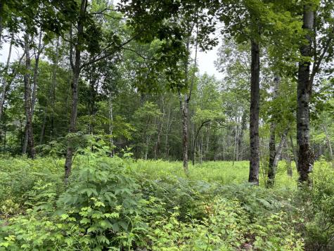 96 West Washington Road Washington ME 04574