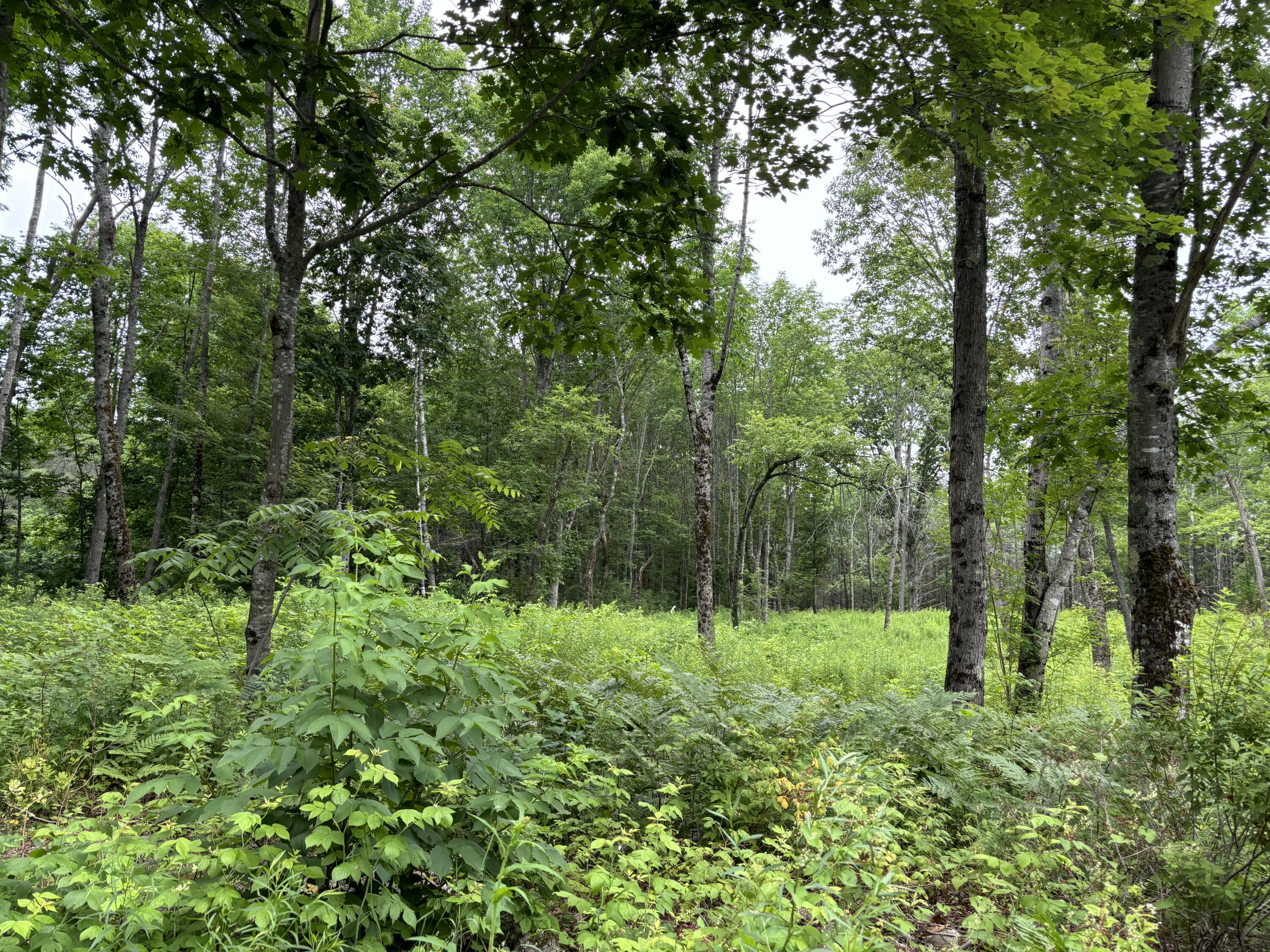 96 West Washington Road Washington ME 04574