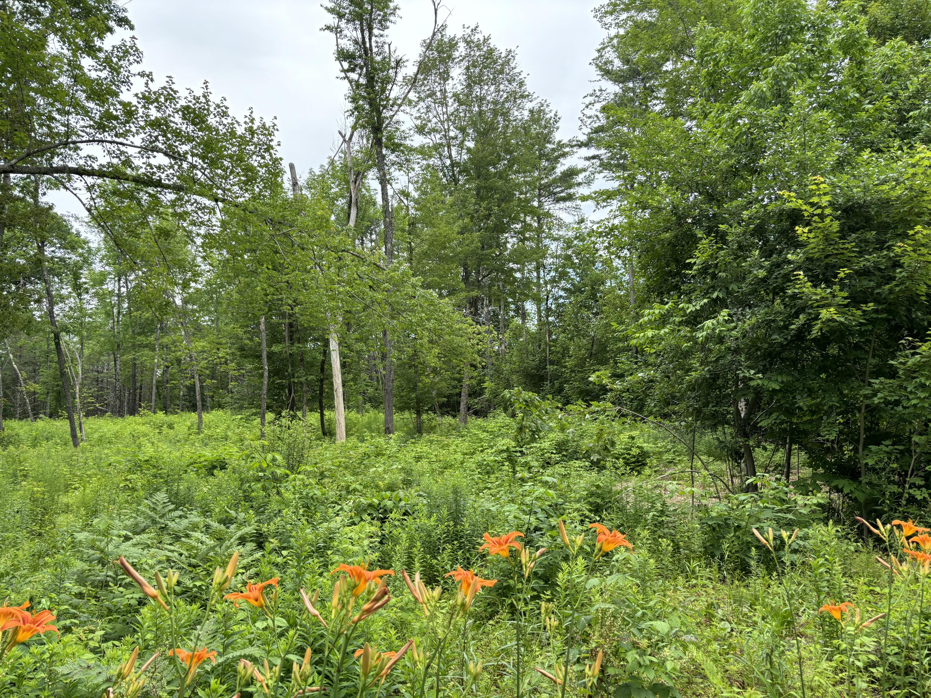 96 West Washington Road Washington ME 04574