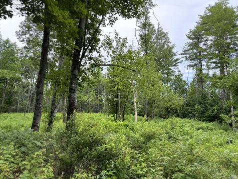 96 West Washington Road Washington ME 04574