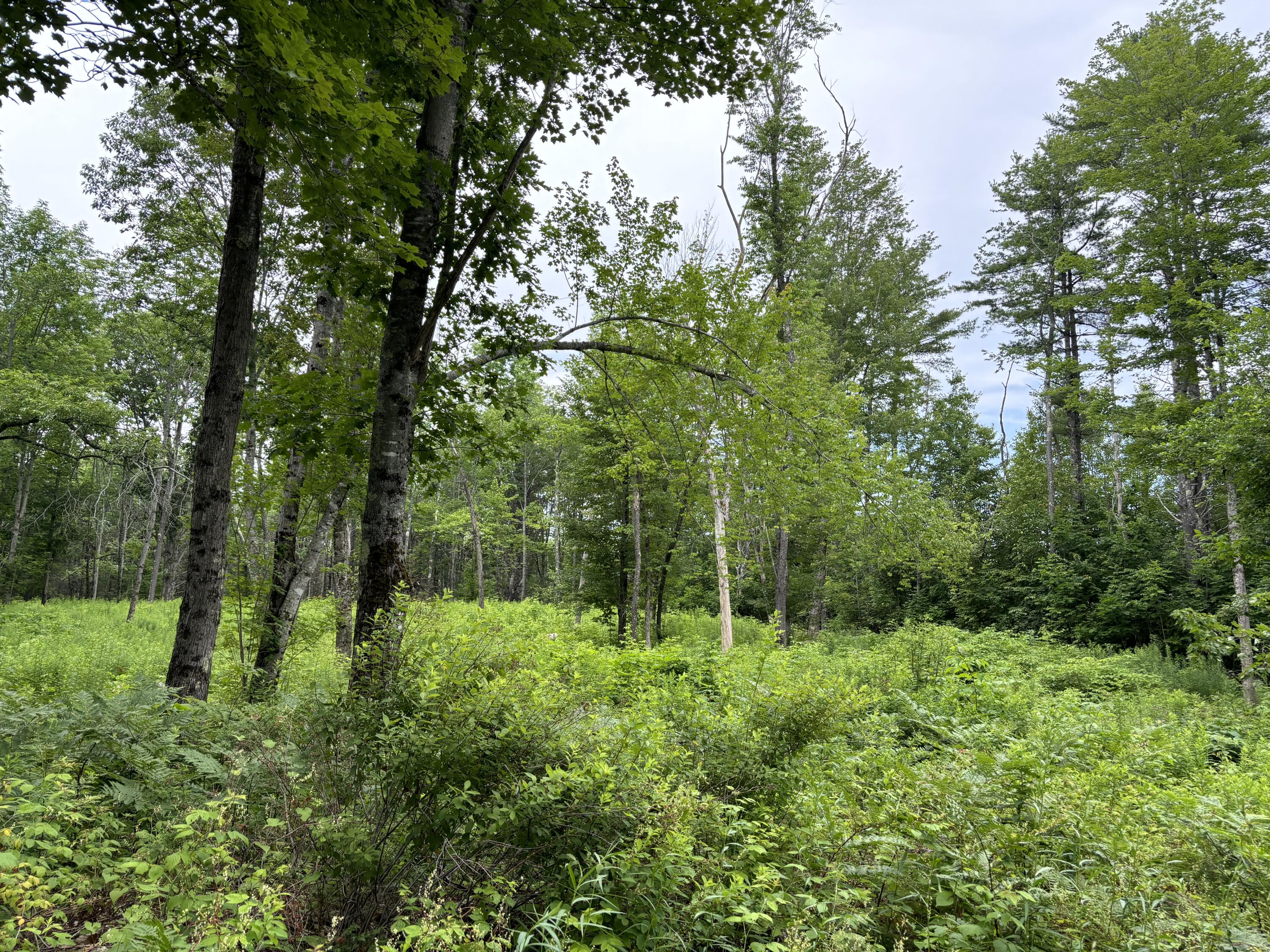 96 West Washington Road Washington ME 04574