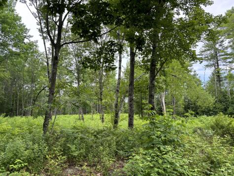 96 West Washington Road Washington ME 04574