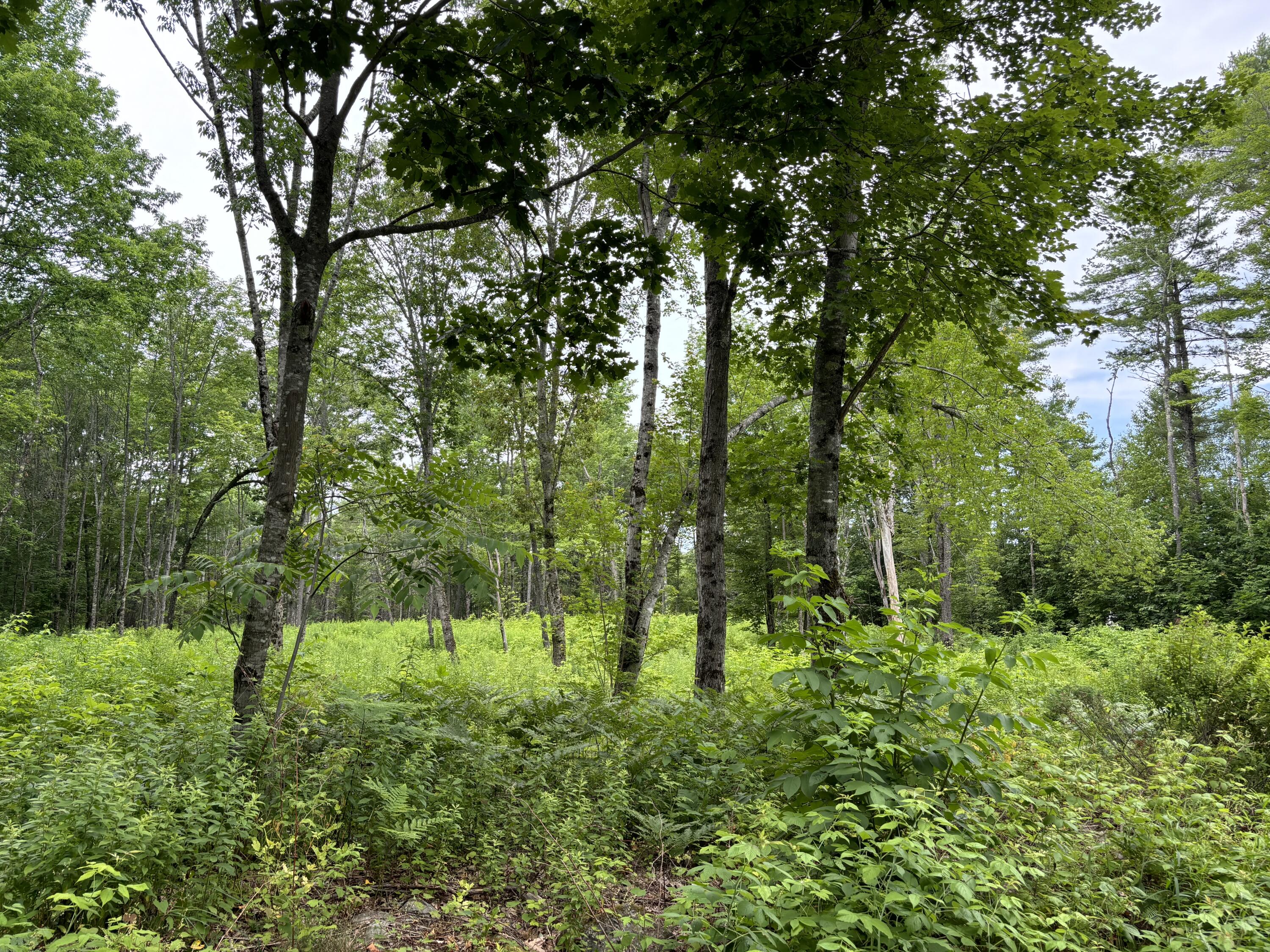 96 West Washington Road Washington ME 04574