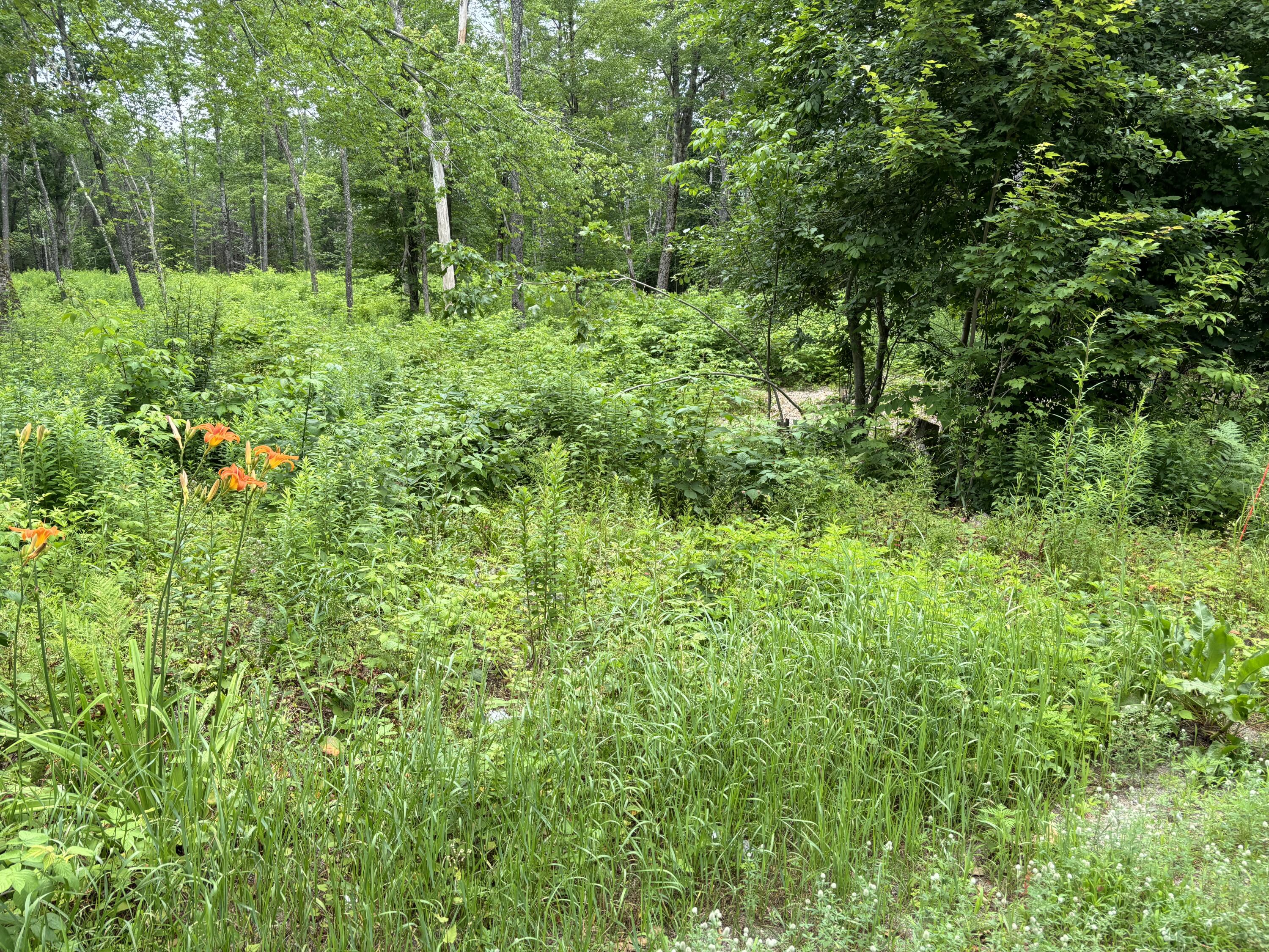 96 West Washington Road Washington ME 04574