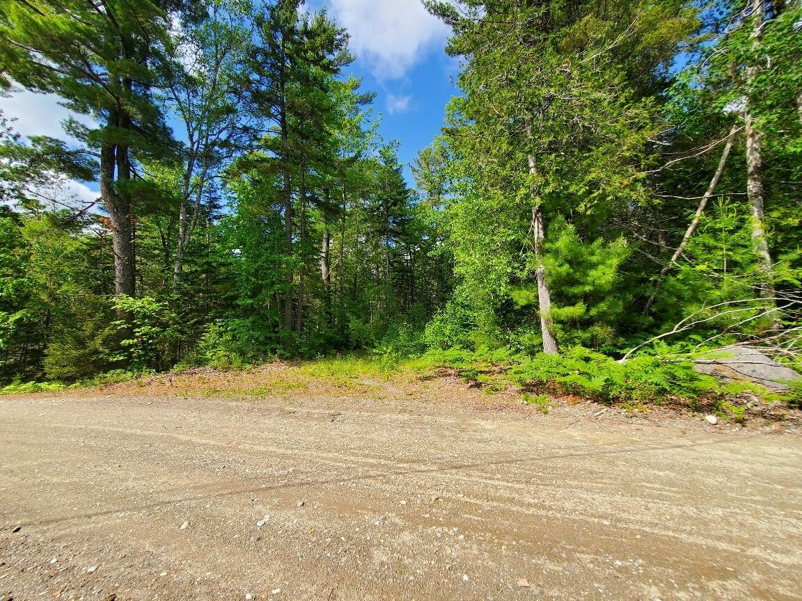 315 Hopkins Pond Road Clifton ME 04428