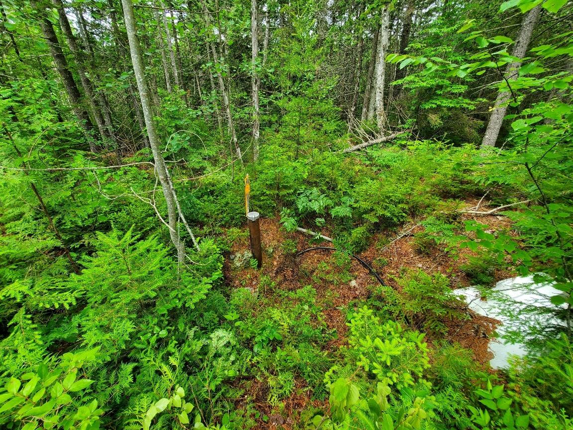 315 Hopkins Pond Road Clifton ME 04428