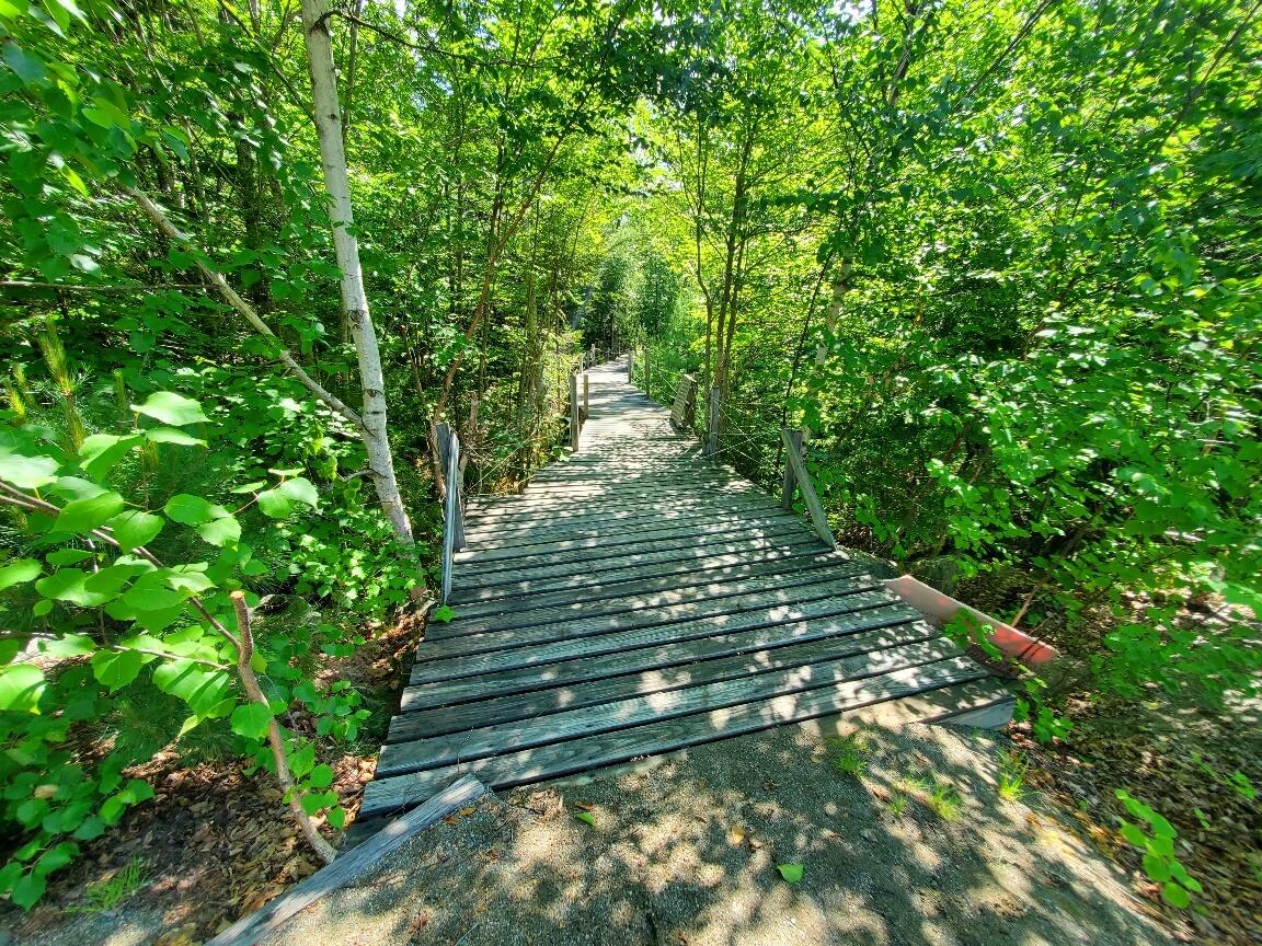 315 Hopkins Pond Road Clifton ME 04428