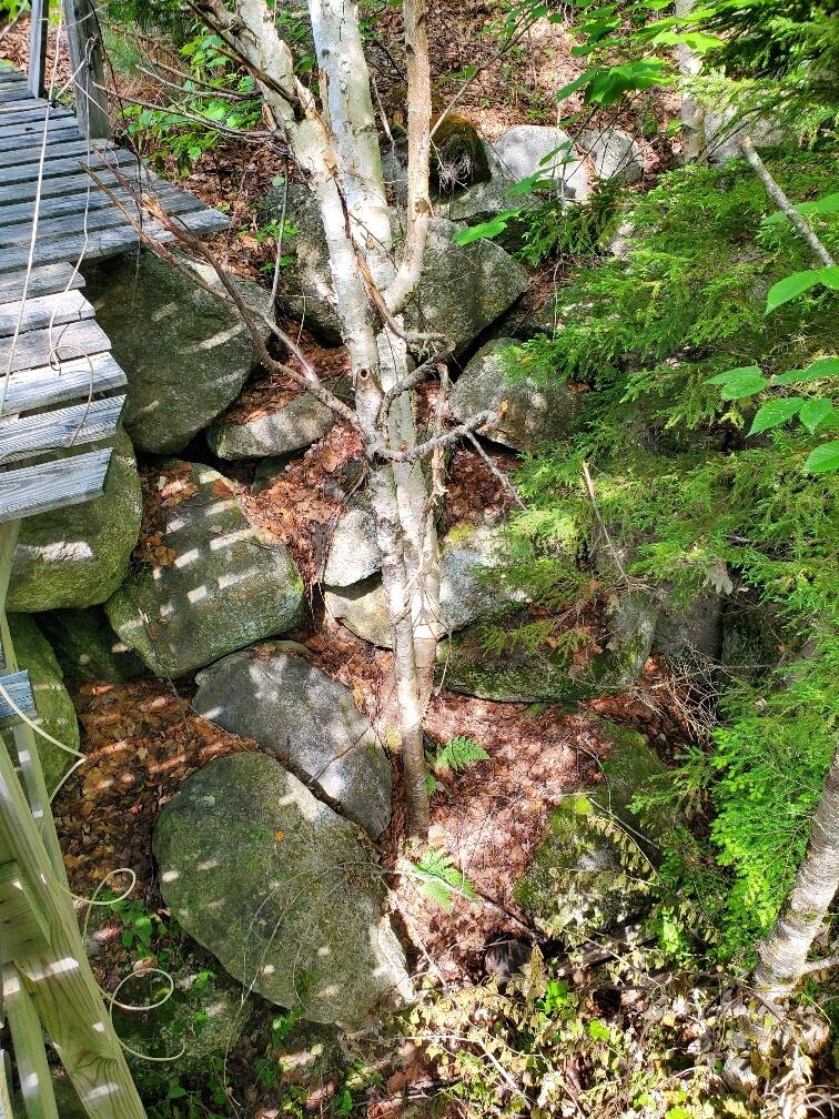 315 Hopkins Pond Road Clifton ME 04428