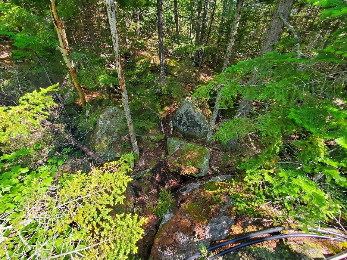 315 Hopkins Pond Road Clifton ME 04428