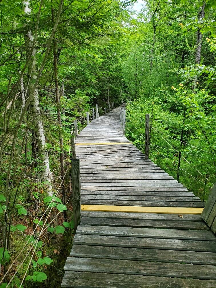 315 Hopkins Pond Road Clifton ME 04428