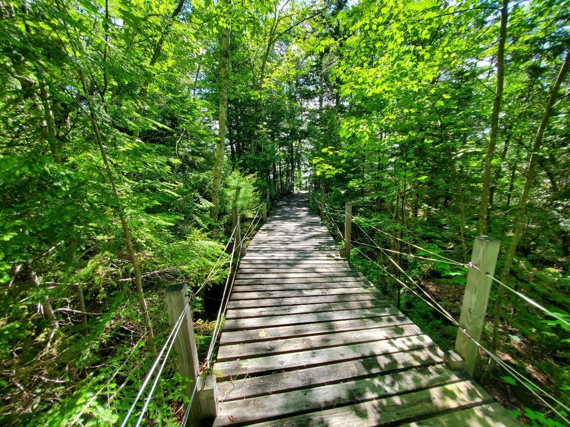 315 Hopkins Pond Road Clifton ME 04428