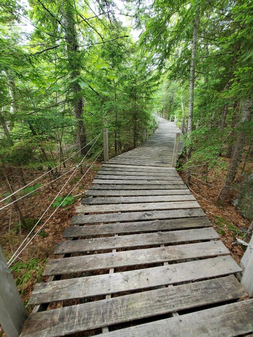 315 Hopkins Pond Road Clifton ME 04428