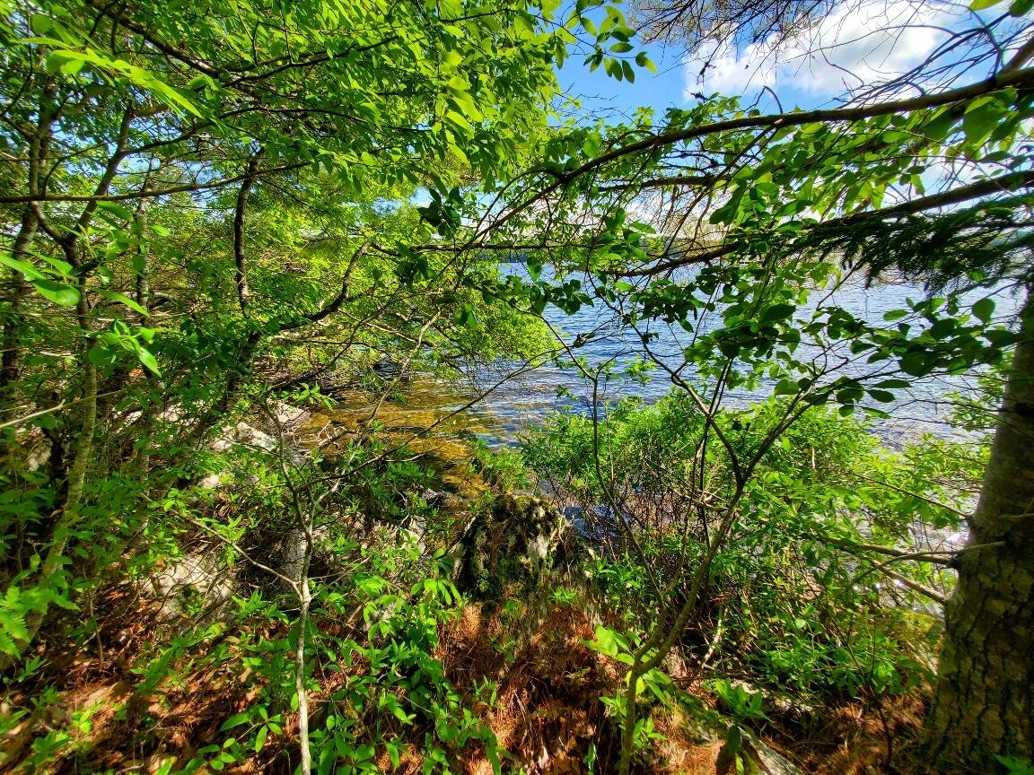 315 Hopkins Pond Road Clifton ME 04428