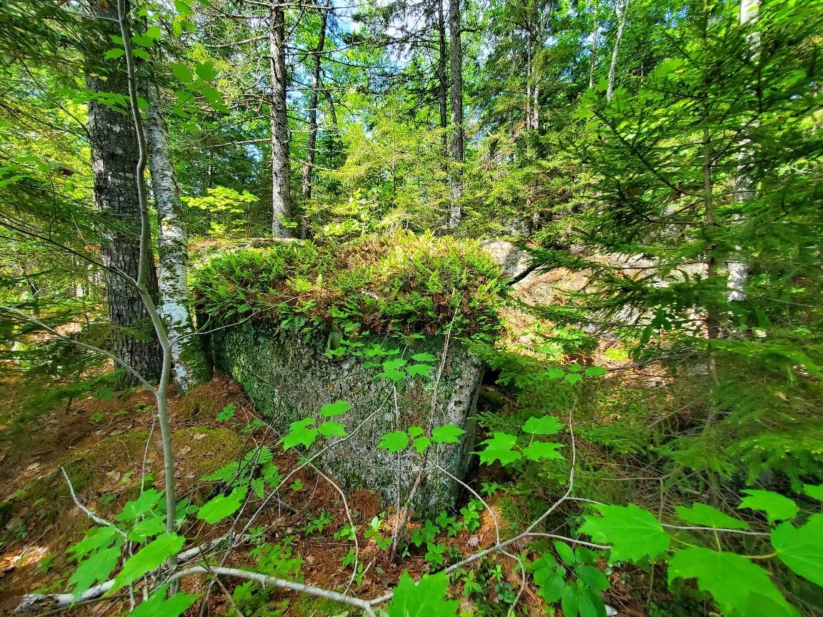 315 Hopkins Pond Road Clifton ME 04428